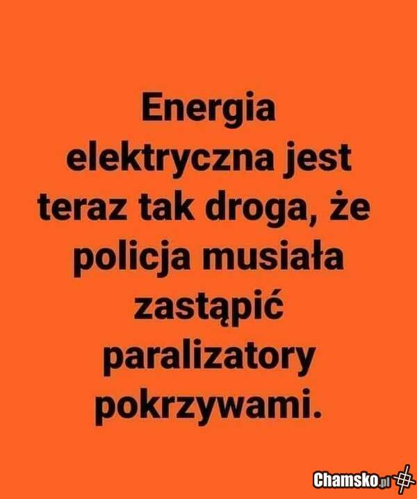 Pokrzywa