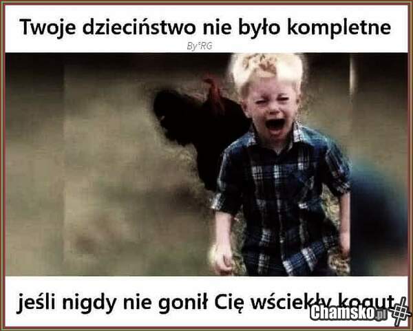 Kurrr zapiał....