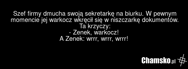 Szef firmy dmucha swoją sekretarkę na biurku. W pewnym momencie jej warkocz wkręcił się w niszczarkę dokumentów. Ta krzyczy: - Zenek, warkocz! A Zenek: wrrr, wrrr, wrrr!