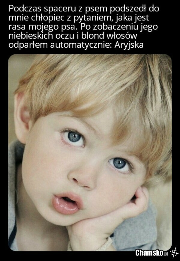 Psia rzesza
