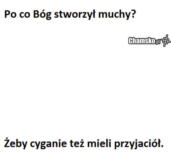 Muchy