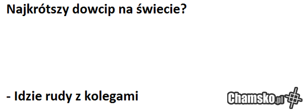 admin chamsko.pl