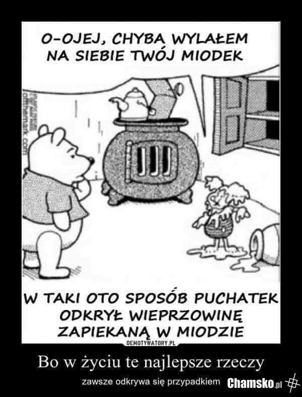miodzio