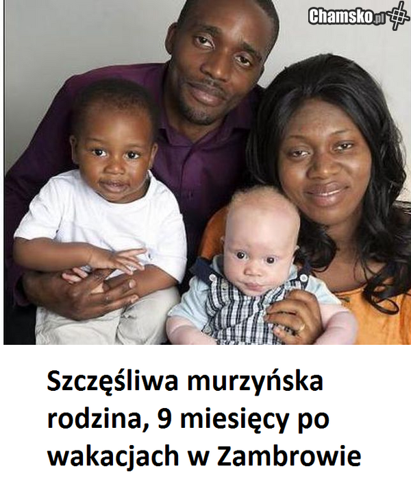 Wiesiek zaruchał bambusa
