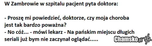 no i huj no i cześć