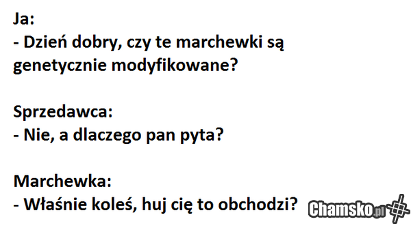 jebać PiS