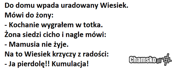 Przygody Wieśka z Zambrowa