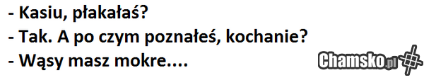 pierdol sie kaśka