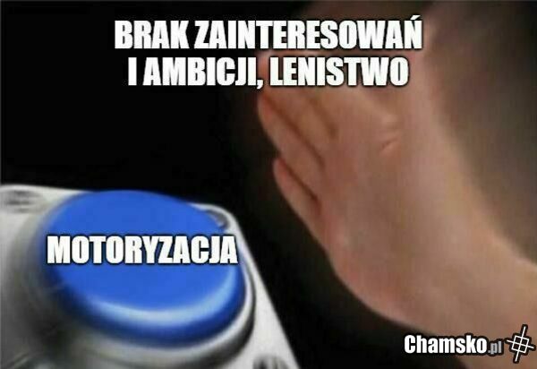 Motozjeby