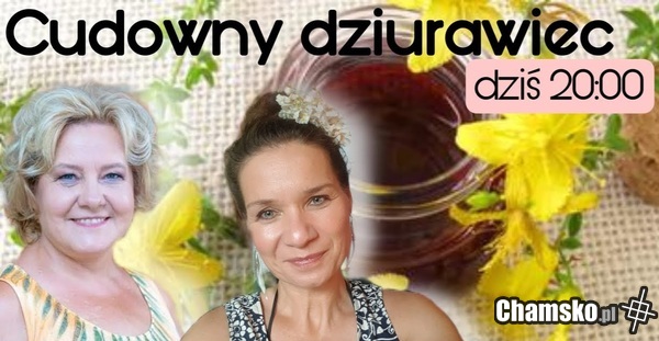 Nowy serial