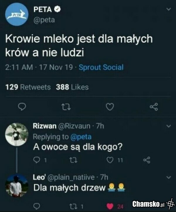 Logika wegan