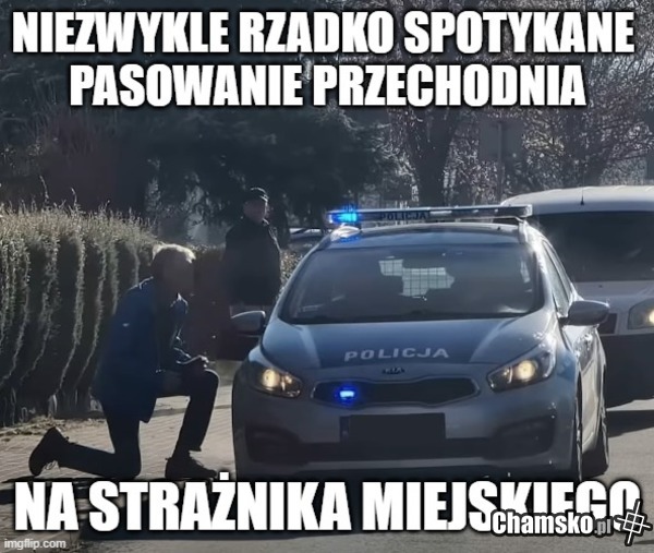 PASOWANIE NA STRAŻNIKA