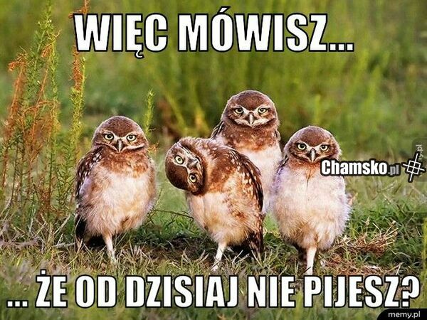 Już to widzę