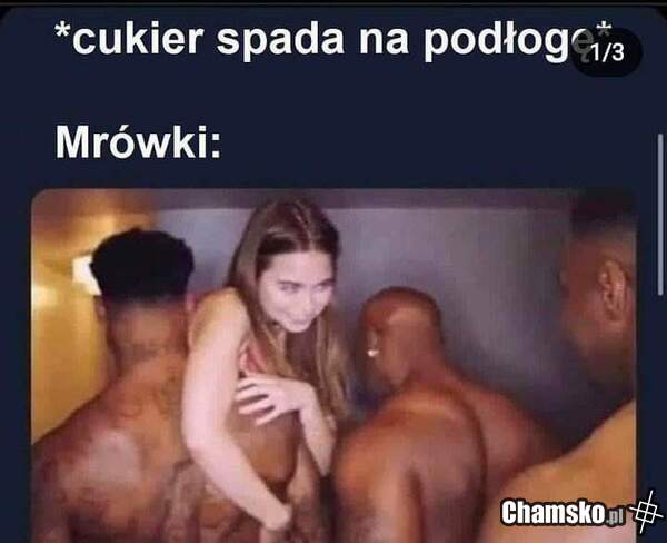 Mrówki