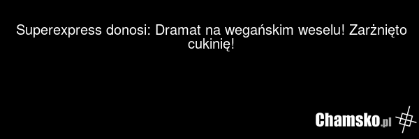 Superexpress donosi: Dramat na wegańskim weselu! Zarżnięto cukinię!