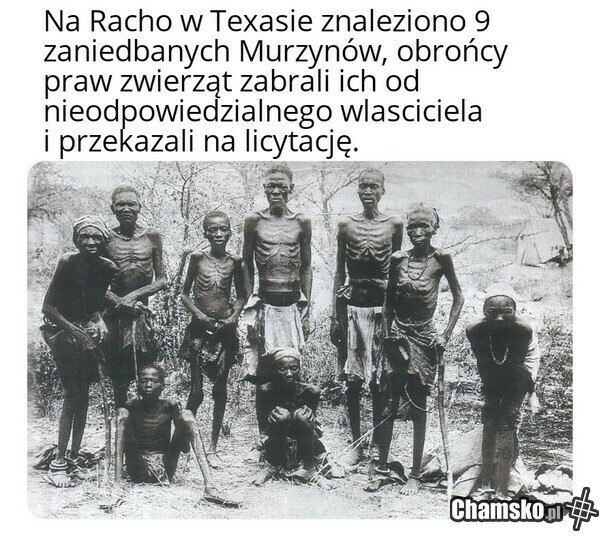Jak tak można traktować zwierzaki :(