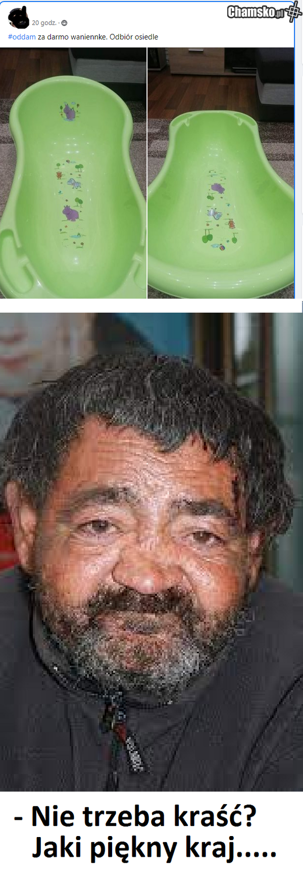 seria cyganeria
