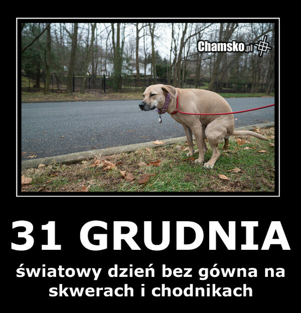 Światowy dzień bez gówna