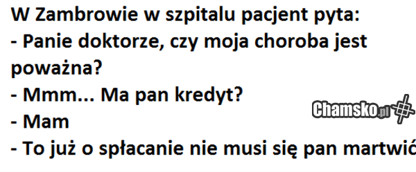 no i huj no i cześć