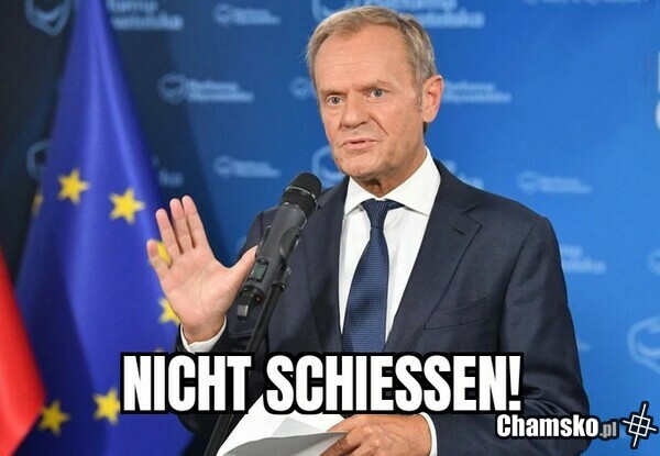 Für Hunde