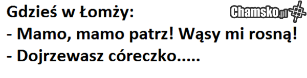 w łomży