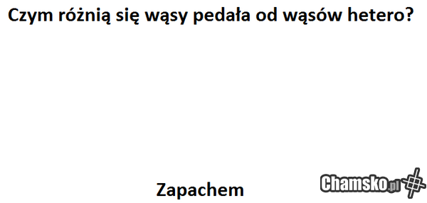 Wąsy