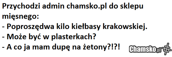 admin chamsko.pl