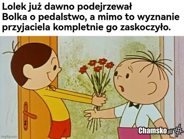 Bolo
