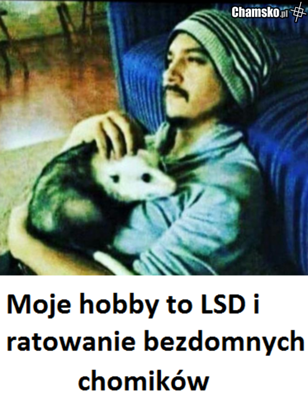 zambrowski towar