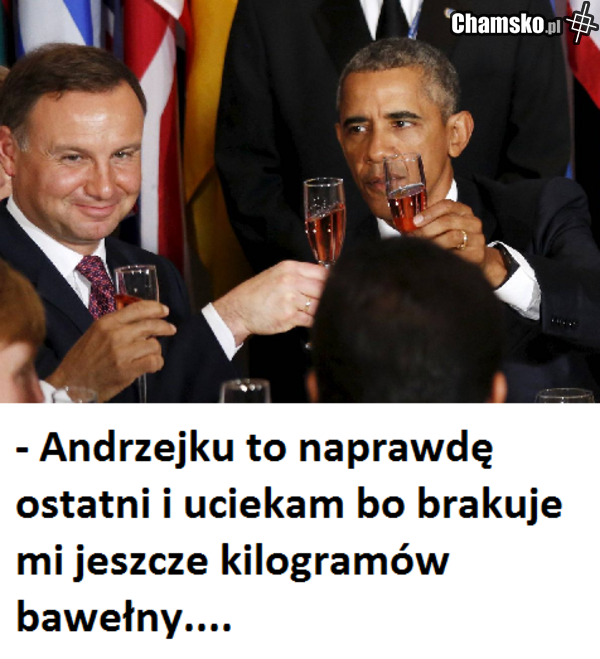 długopis i bambus