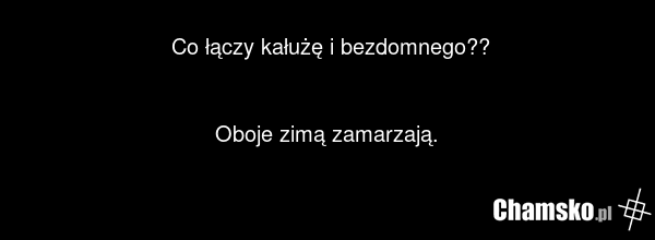 Co łączy kałużę i bezdomnego?? Oboje zimą zamarzają.