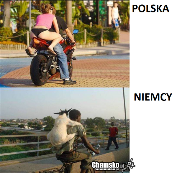 kozojebca