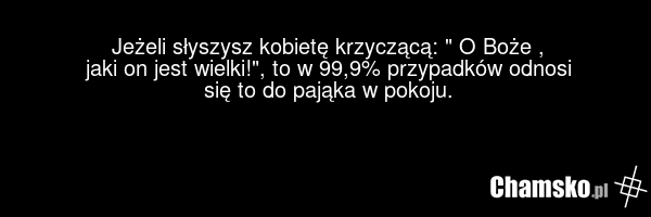 Jeżeli słyszysz kobietę krzyczącą: " O Boże , jaki on jest wielki!", to w 99,9% przypadków odnosi się to do pająka w pokoju.