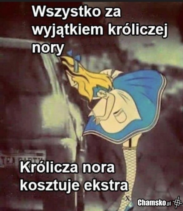 Królicza Alicja