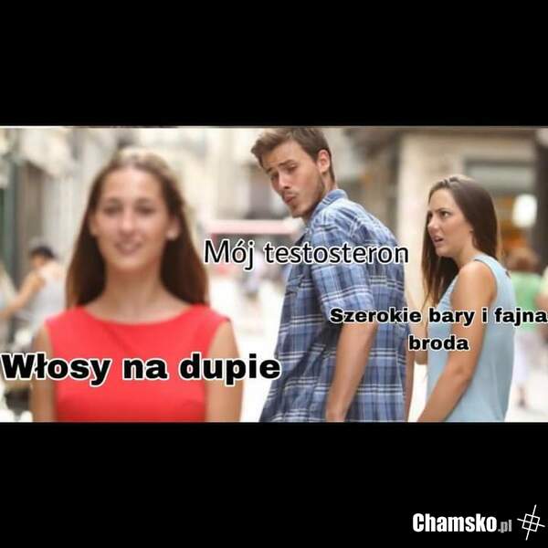 Genetyka
