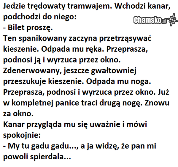stare jak stara admina
