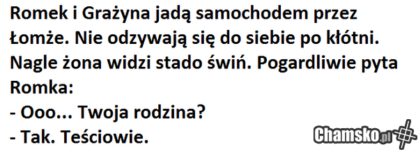Przygody Romka z Łomży cz. LXXXXVII