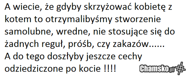 o kurwa