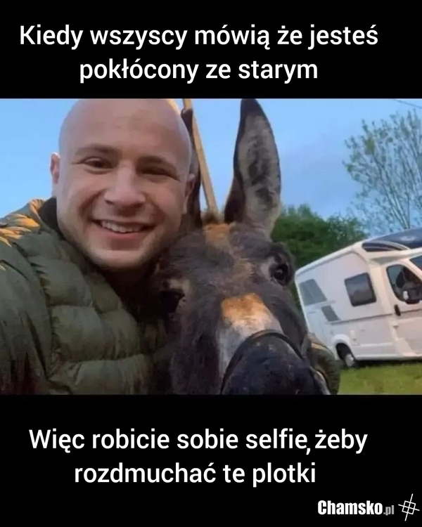 Osły