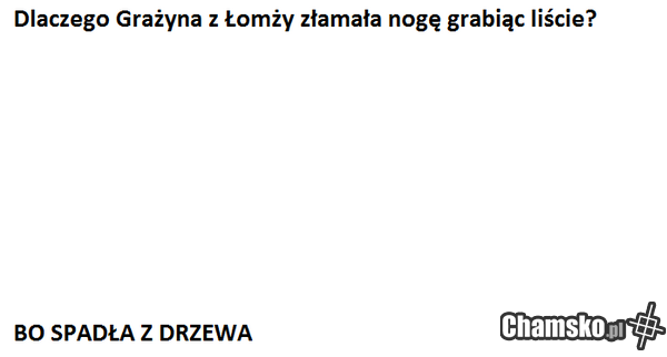 Przygody Grażyny z Łomży cz. LXX