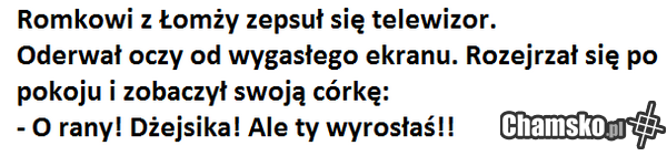 Przygody Romka z Łomży cz. LXXXXVIII