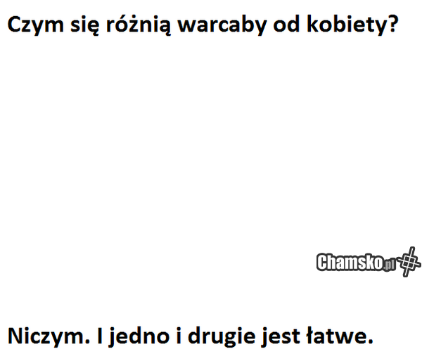 Warcaby