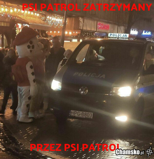 Psi patrol