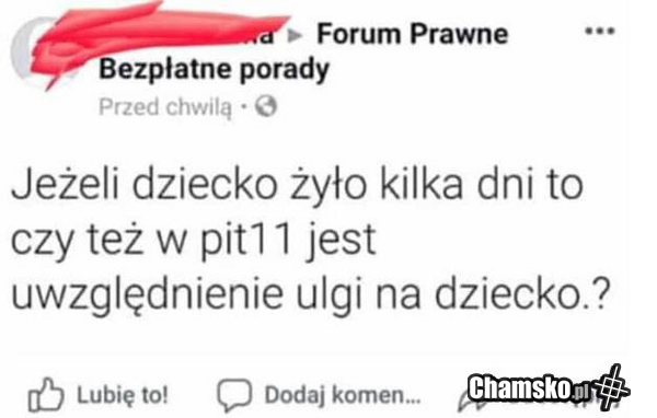 Ulgi