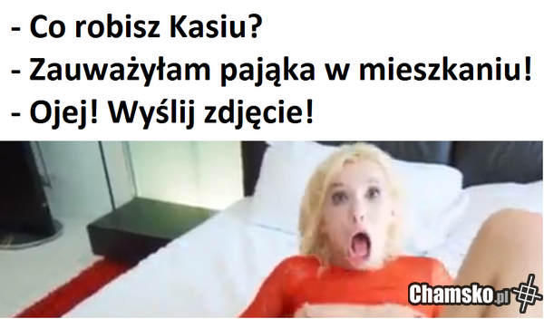 KASIA