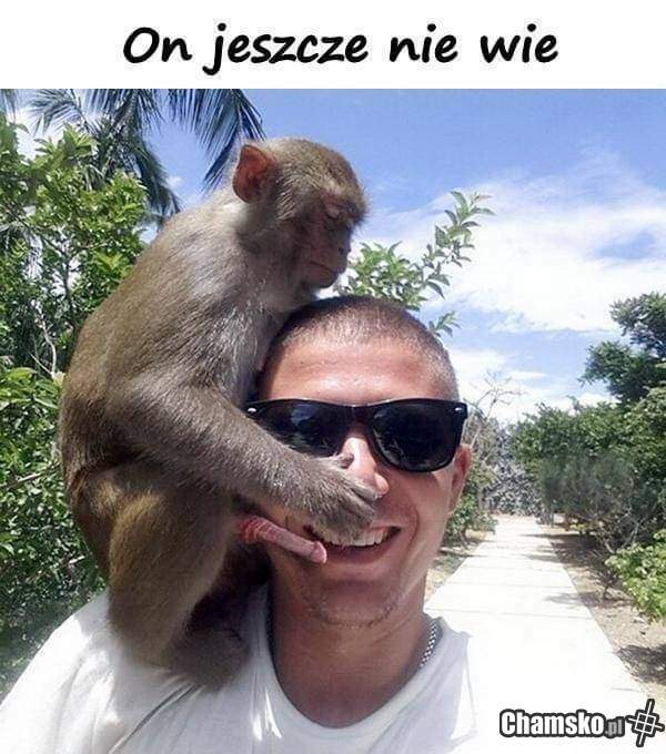 Niespodzianka.