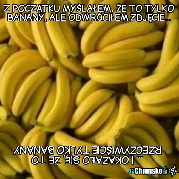 Też tak widzicie?