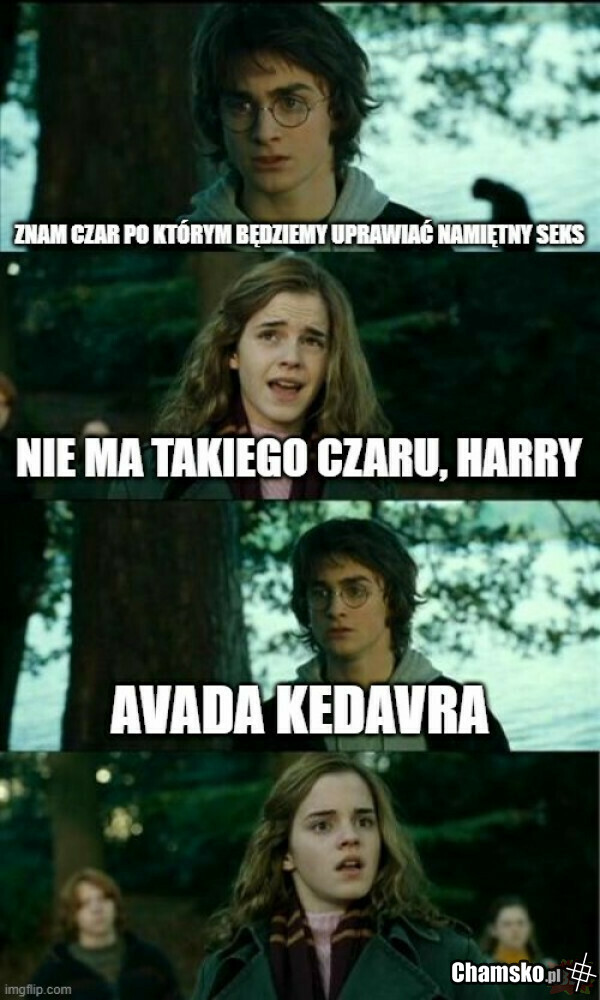 Hokus pokus, czary mary w kakao dzisiaj wjedzie Harry!