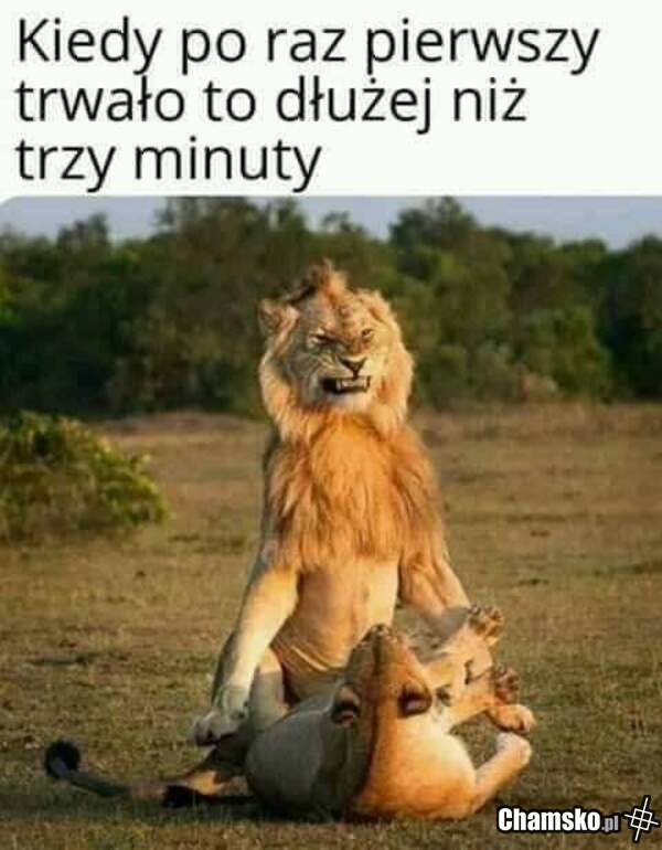 Długie ruchanko
