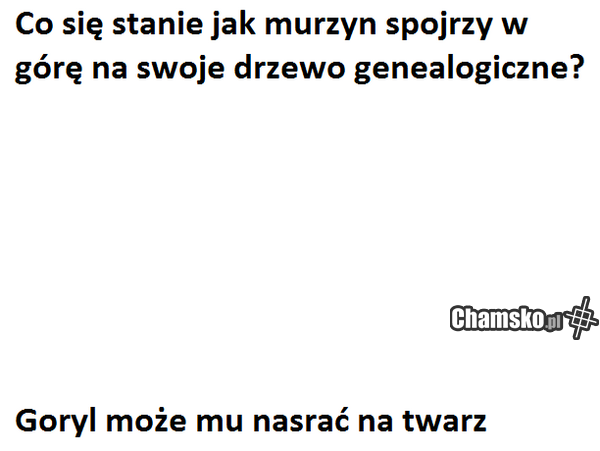 bambusolandia